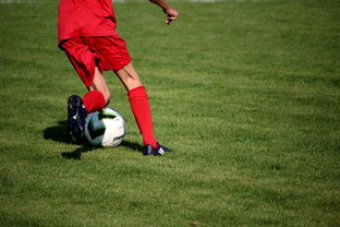 NBA球队青训体系建设与人才储备，nba青年队