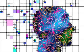 国足场上局势阅读能力评分系统模型，足球能力测试