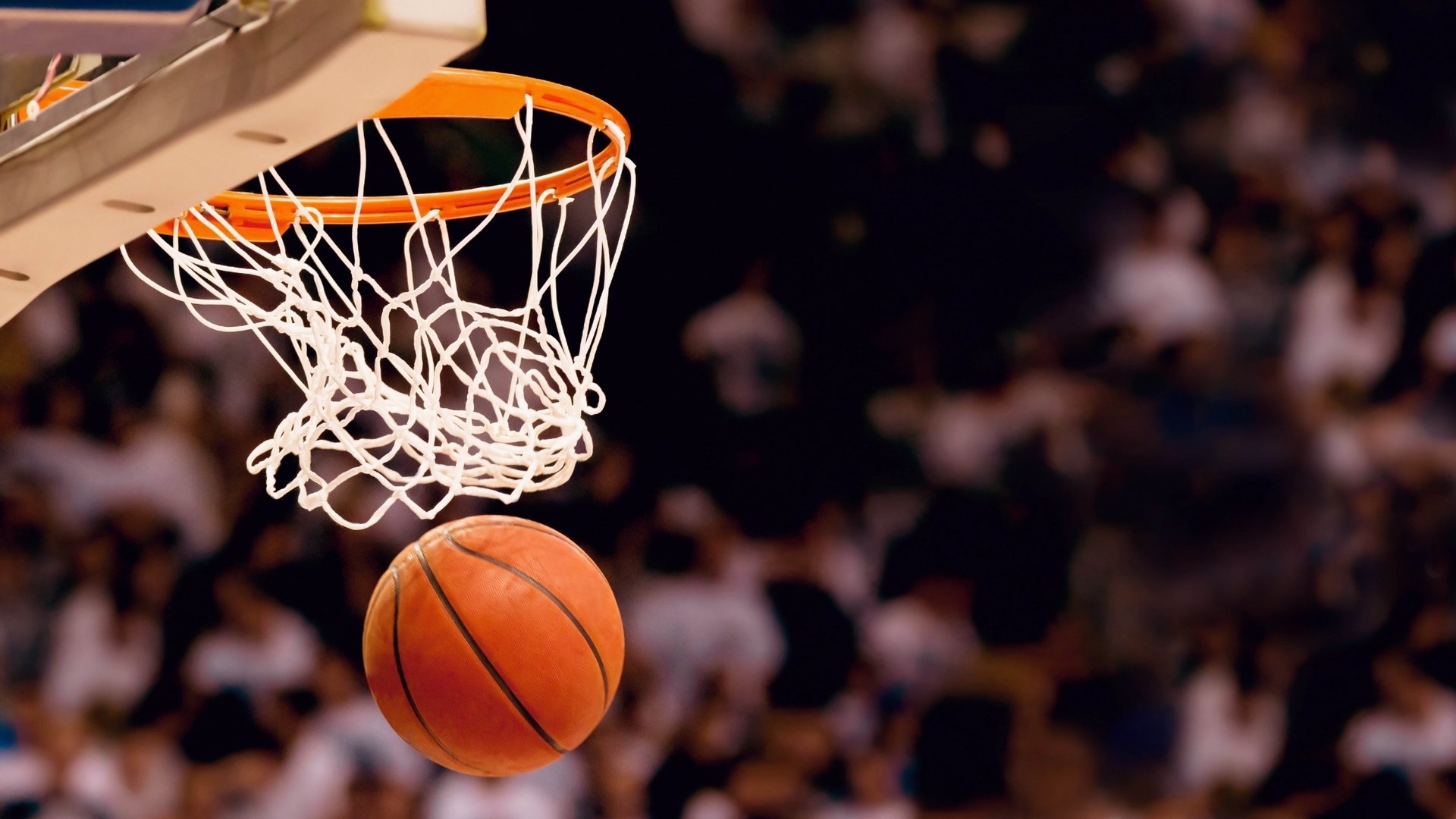 中国跳水梦之队公布世界杯参赛名单：全红婵、陈芋汐领衔，多位小将首次获得世界大赛机会